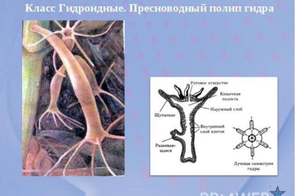 Kraken clear ссылка