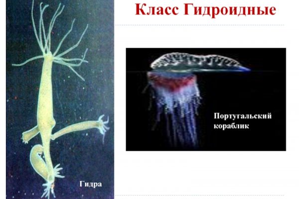 Kra34.at