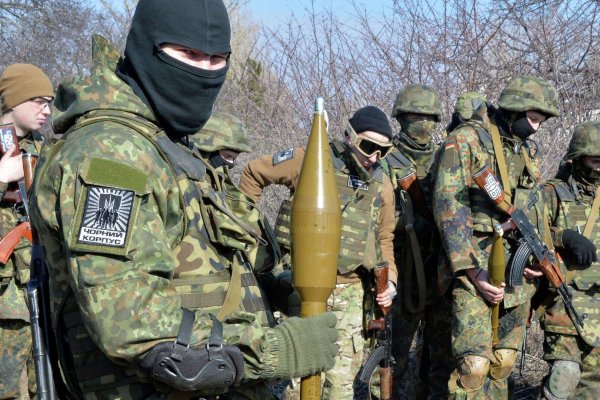 Найти зеркало кракена